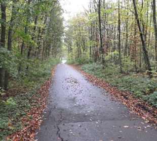 Naturschutzgebiet Listhof