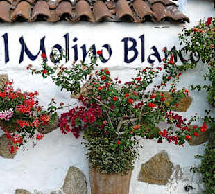 El Molino Blanco