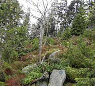 Karkonoski Park Narodowy