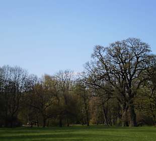 Łazienki Królewskie