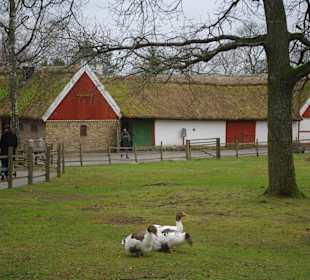 Skandinavischer Bauernhof