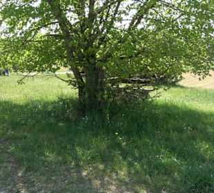 Premiumwanderweg Hochgehschätzt