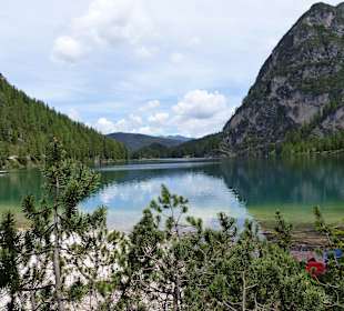 Wildsee
