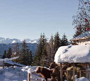 Wandern Nova Ponente / Deutschnofen