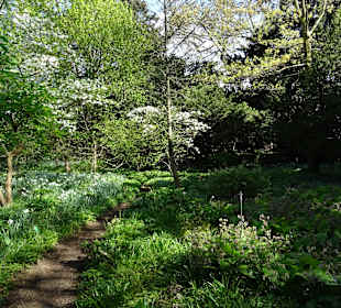 Sichtungsgarten Hermannshof