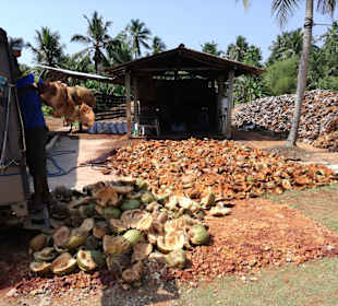 Tour mit “Lucky“