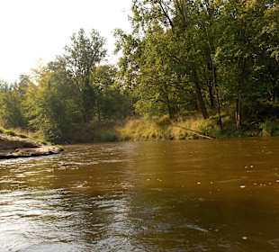 Mała Panew-widok z kajaku