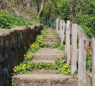 Wandern Bad Lauterberg 