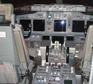 Blick ins Cockpit