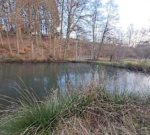 Wanderweg Horbacher Mühle