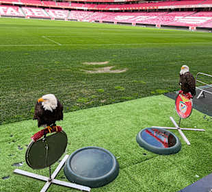 Estádio da Luz