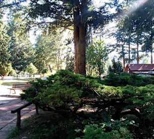  Minigolfanlage Gelterswoog