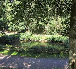  Waldgaststätte Kaltenbrunner Tal