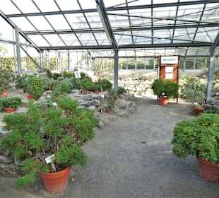 Impressionen aus dem Botanischen Garten Osnabrück