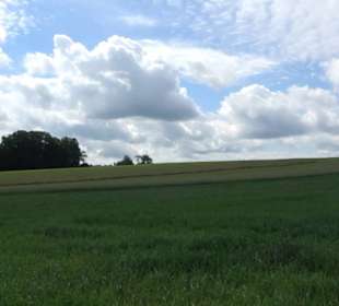 Premiumwanderweg "hochgehackert"