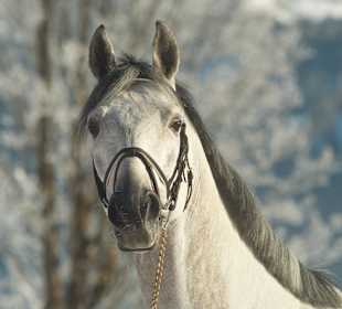 Wandern St. Ulrich am Pillersee