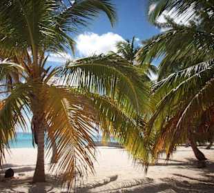 Canto de la Playa - Seavis Tours