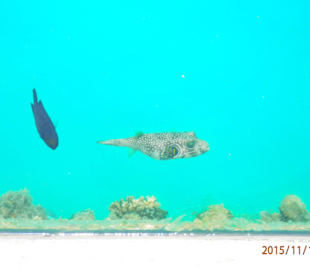 Blick ins Hafenbecken