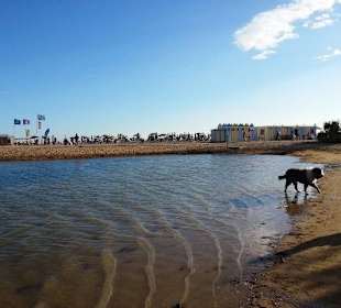 Süßwasserbereich Hunde erlaubt