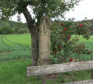 Schutzgebiet Spitzberg, Pfaffenberg