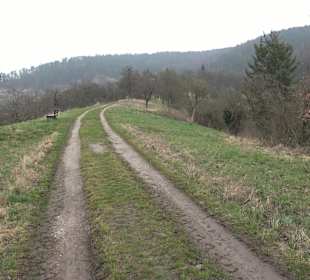 Unterjesinger Wengertwegle