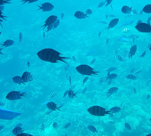 U-Boot Tour Hurghada