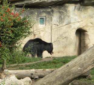 Lippenbärenschlucht