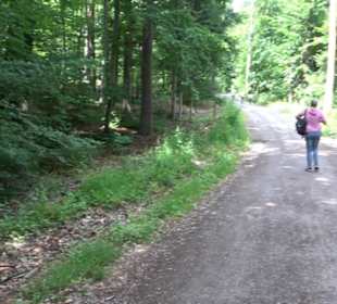 Schutzgebiet Spitzberg, Pfaffenberg