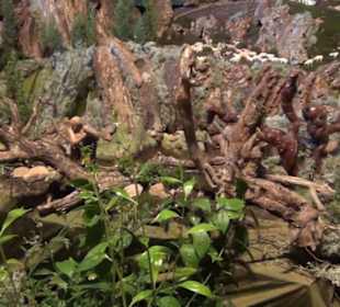 Basilica de la Mare de Deu de Lluc