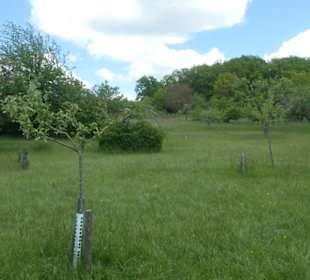 Eindruck vom Spaziergang Ostheimer Streifberg-Tour