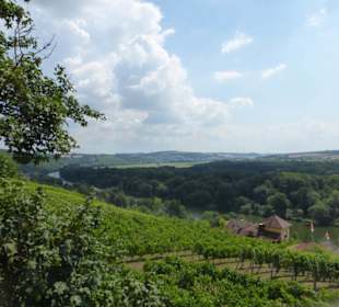 Blick vom Beerhüterturm über Peterstirn und Main