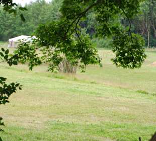 Dekoration für Rittermarkt