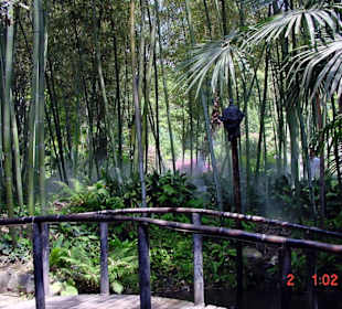 Giardino Botanico A. Heller