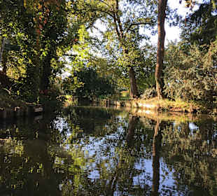 Spreewald