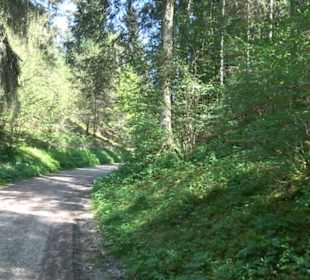 Premiumwanderweg Hochgehschätzt