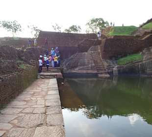 Elefantenreiten Sigiriya