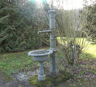Friedhof der psychiatrischen Anstalt