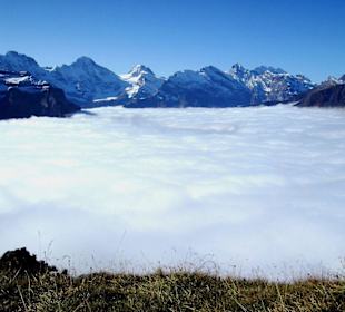 Panoramaweg Männlichen-Kleine Scheidegg (3)