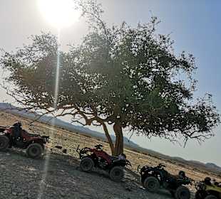 Quad Tour El Quseir