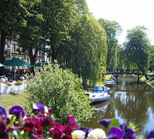 Ein Rundgang durch die "Rosenstadt" im Sommer 