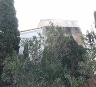 Garten "Turm der Araber"