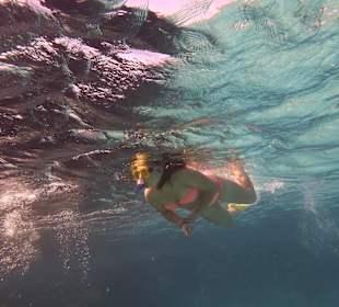 Einmalie Erlebnisse mit Mo´s Delfinen