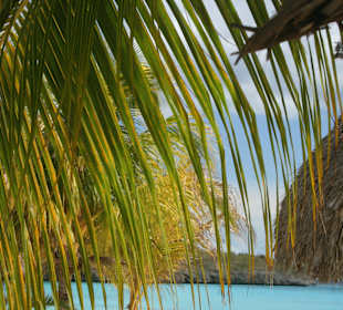 Woorden zijn overbodig