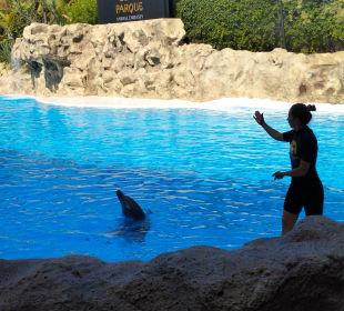 Loro Parque