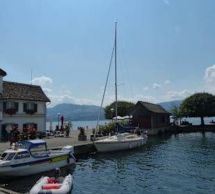 Toller Seeblick