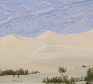 Mesquite Sand Dunes