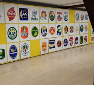 Kunstmuseum Spendhaus