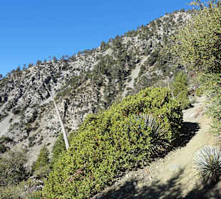 Вперед по тропе навстречу к вершине Сан-Антонио