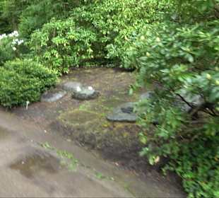 Waldfriedhof Degerloch