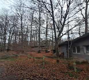 Naherholungsgebiet Jägersburg in Homburg